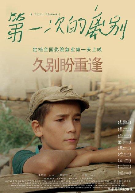 马来西亚驾驶证样本作假