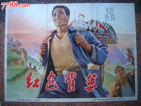 买个假纽芬兰与拉布拉多省驾驶证